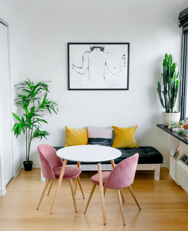 Indoor Plants
